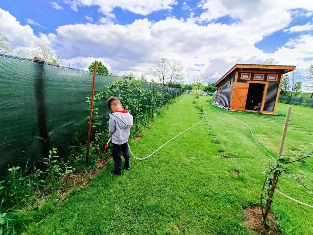 Hotel Tiny House - Baia de Fier Exterior foto