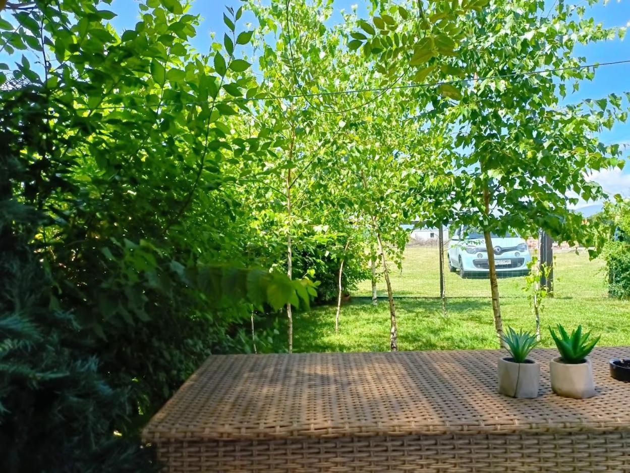 Hotel Tiny House - Baia de Fier Exterior foto